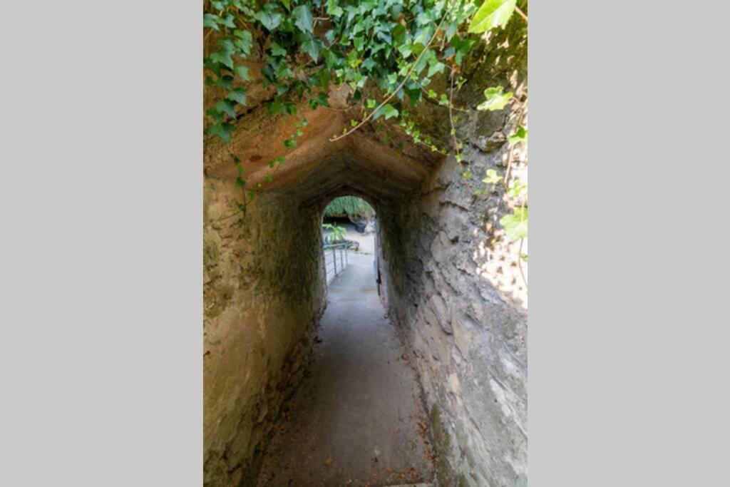 Maison Troglodytique Doue La Fontaine 外观 照片